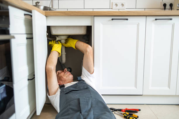 Best Same-Day Plumbing Service  in La Grange Park, IL