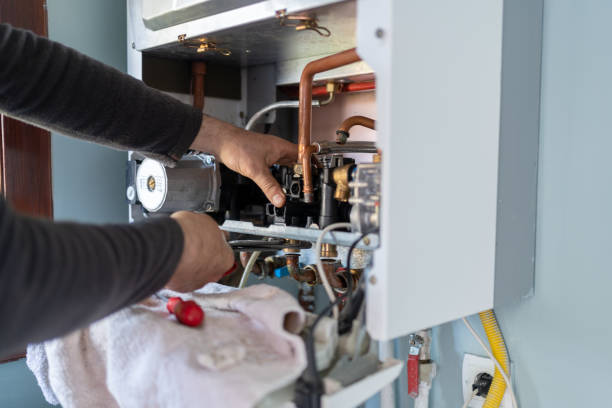 Best Plumbing Inspection Services  in La Grange Park, IL