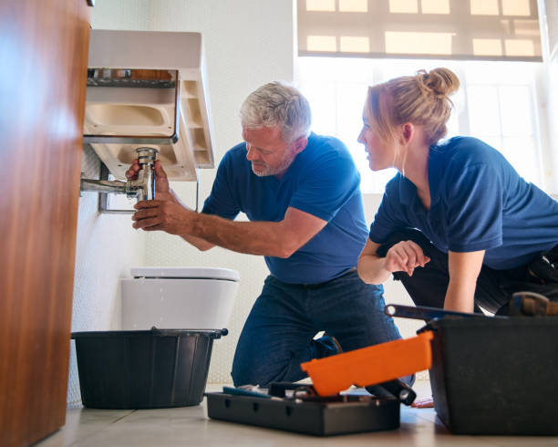 Best Plumbing Repair Near Me  in La Grange Park, IL